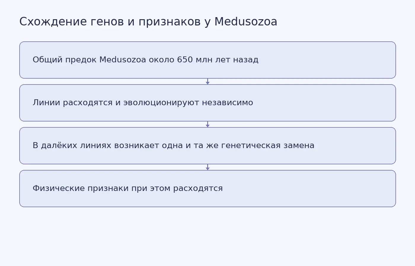Схема показывает, как одинаковые генетические изменения возникают в далеко разошедшихся линиях медуз, не сопровождаясь сходством физических признаков