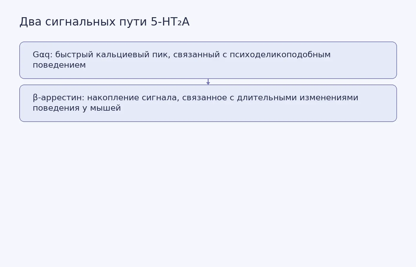 Схема показывает два клеточных сигнальных пути рецептора 5-HT₂A и связанные с ними эффекты, наблюдавшиеся в опытах на животных.