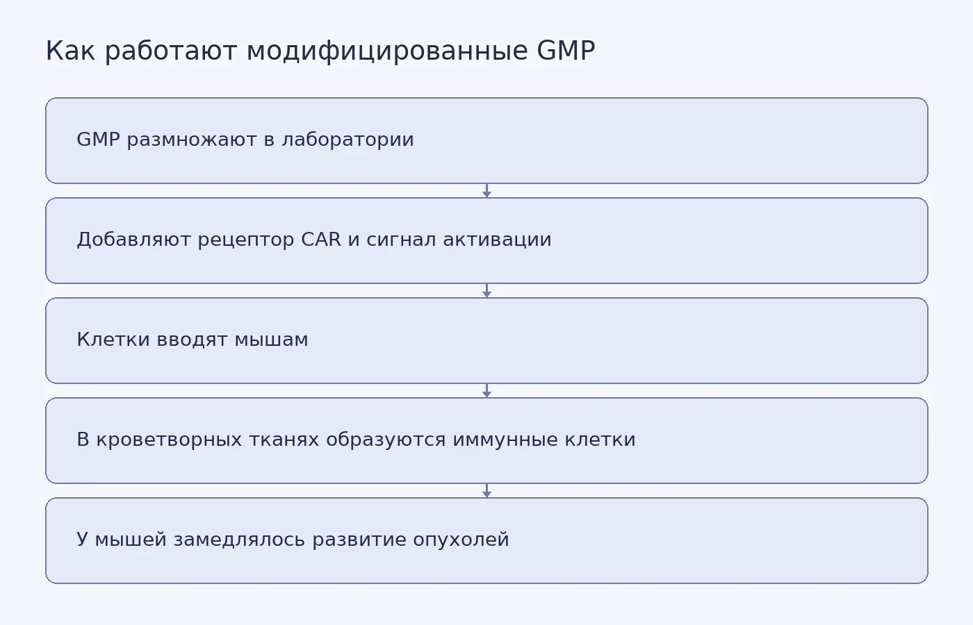 Схема лабораторного размножения и модификации GMP, их поведения у мышей и предварительного противоопухолевого результата