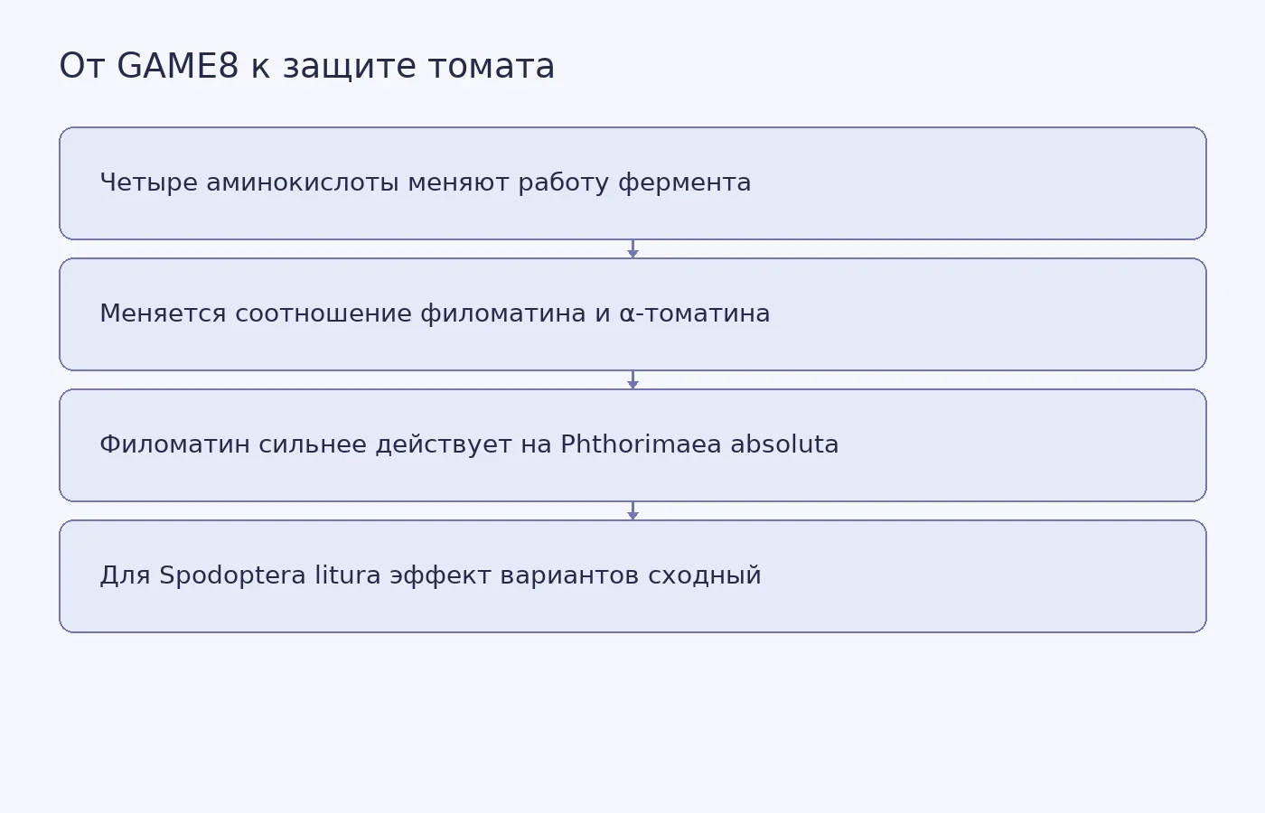 Схема показывает связь между изменениями аминокислот GAME8, формой гликоалкалоида и разной реакцией двух видов насекомых; устойчивость культурного томата после редактирования GAME8 не доказана.