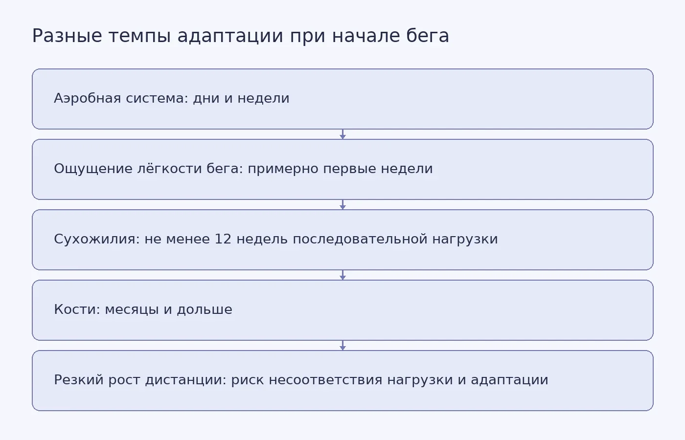 Схема показывает, почему улучшение аэробной формы может опережать адаптацию сухожилий и костной ткани и как регулярность упражнений связана с получаемой дозой нагрузки.