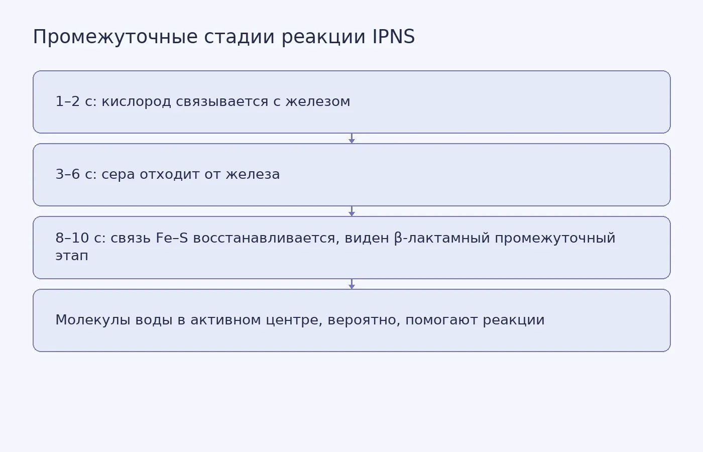 Концептуальная последовательность наблюдавшихся стадий реакции фермента IPNS; этапы с водой и переносом протонов показаны как поддержанная дополнительными данными интерпретация.