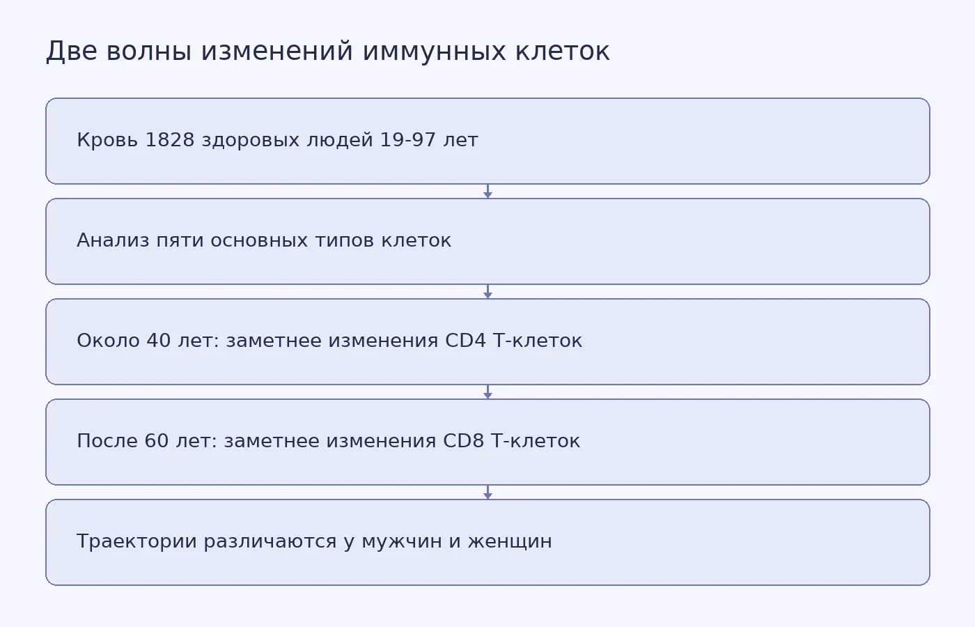 Схема объясняет, как анализ иммунных клеток выявил две возрастные волны изменений и различия между мужчинами и женщинами