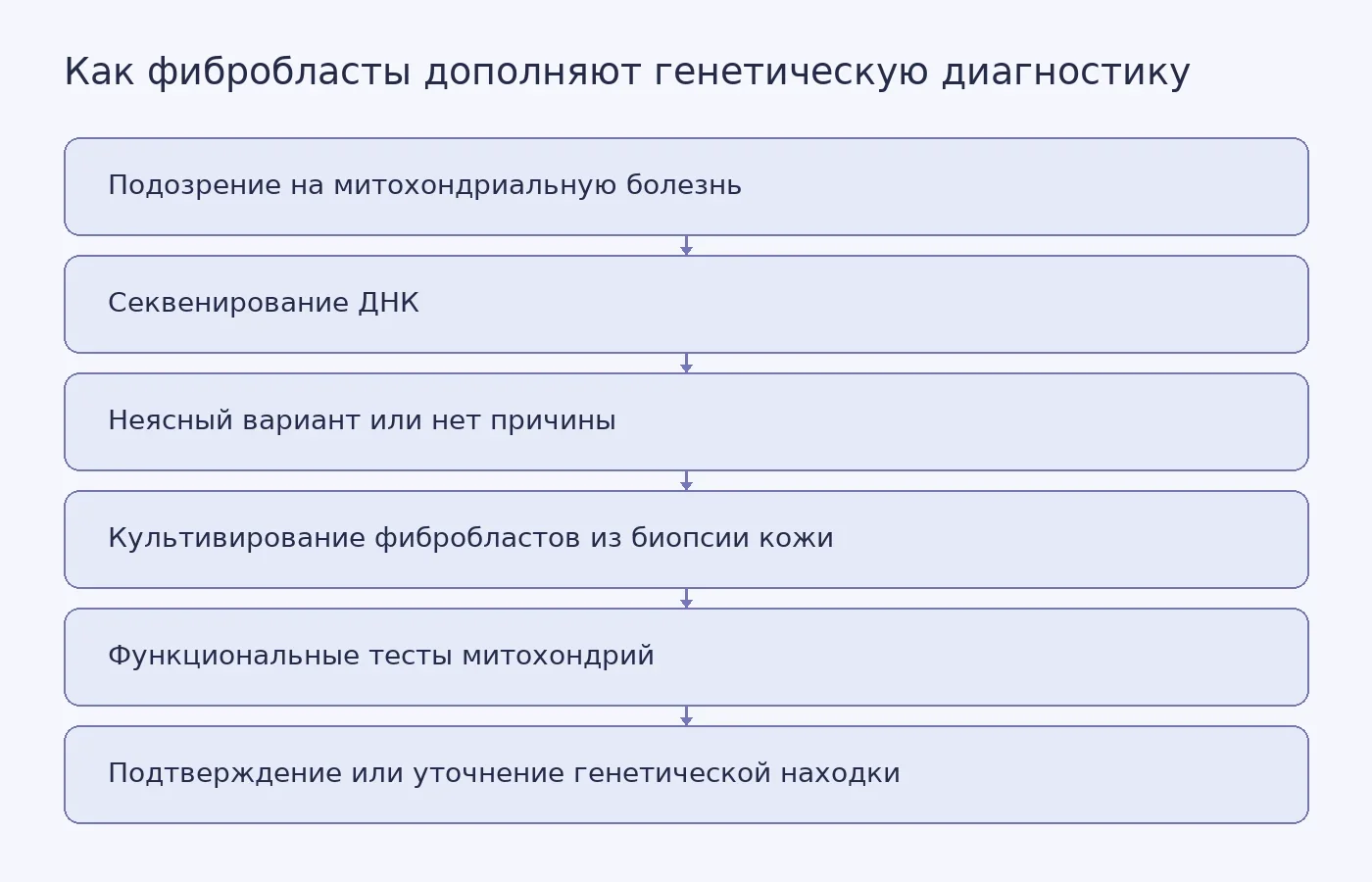 Схема показывает, как функциональные тесты фибробластов из биопсии кожи дополняют, но не заменяют генетическое исследование митохондриальной болезни.